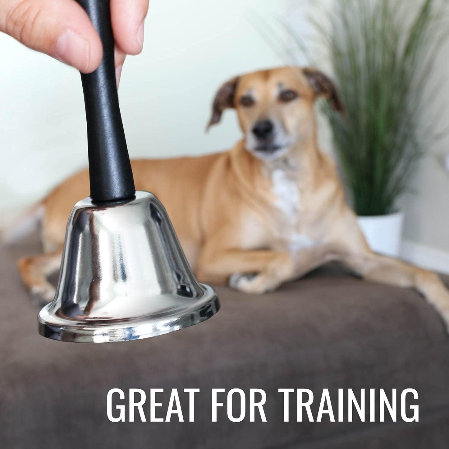 Hand & Call Bell to Care for the Sick and Elderly/ Signal Dinner/ Call for Pets, Silver, 4.75"
