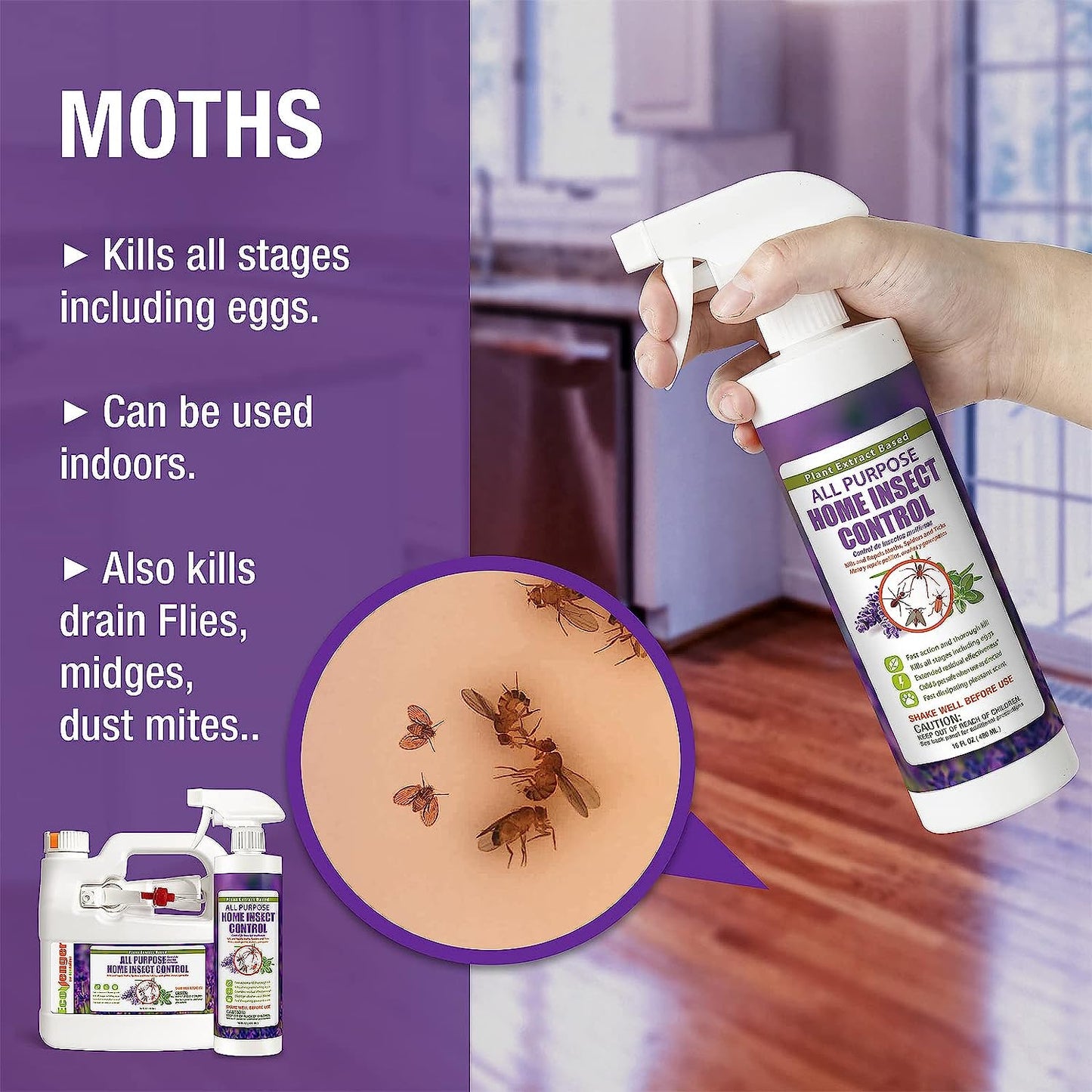 by Ecoraider All Purpose Insect Control 16 OZ, Fleas, Fruit Flies, Gnats, Moths, Roaches, Spiders, Fast Kill, Lasting Prevention, Kill Eggs, Plant Extract Based & Non-Toxic, Child & Pet Safe