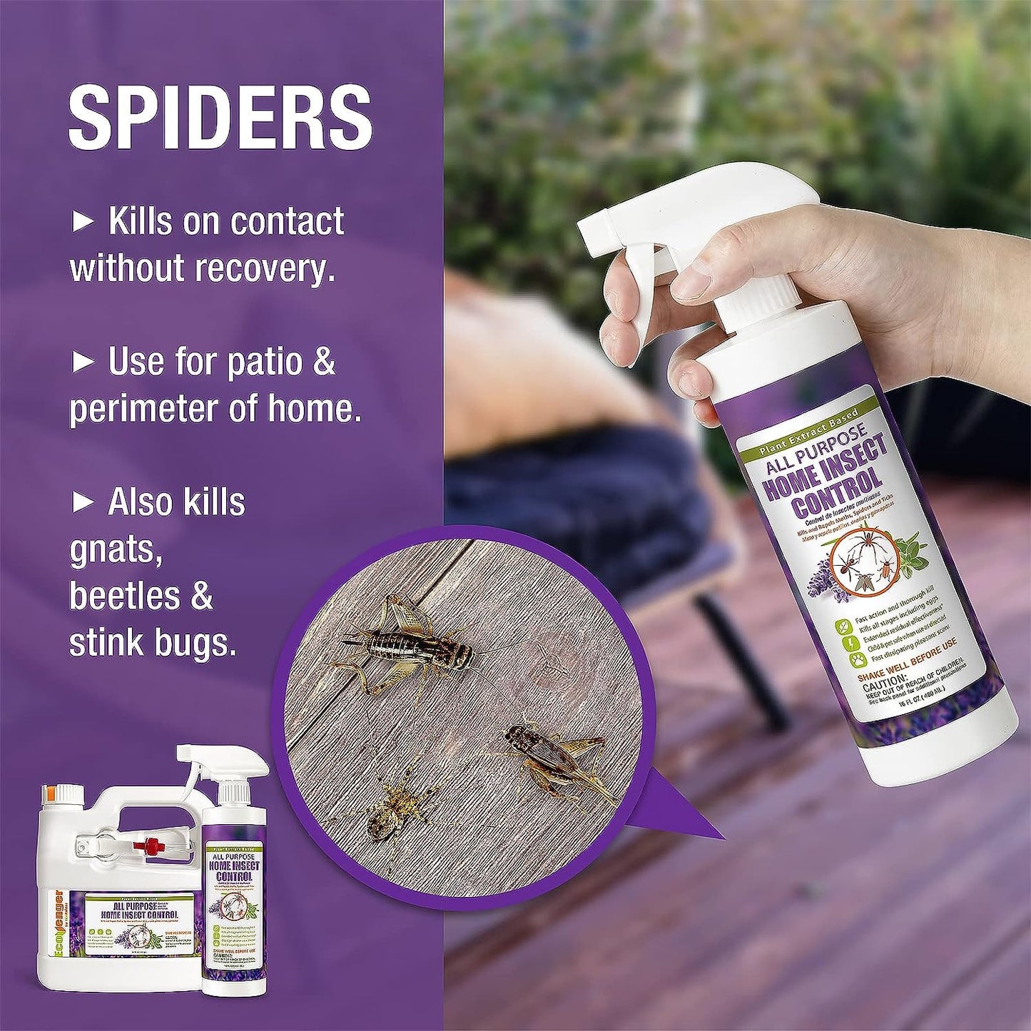 by Ecoraider All Purpose Insect Control 16 OZ, Fleas, Fruit Flies, Gnats, Moths, Roaches, Spiders, Fast Kill, Lasting Prevention, Kill Eggs, Plant Extract Based & Non-Toxic, Child & Pet Safe