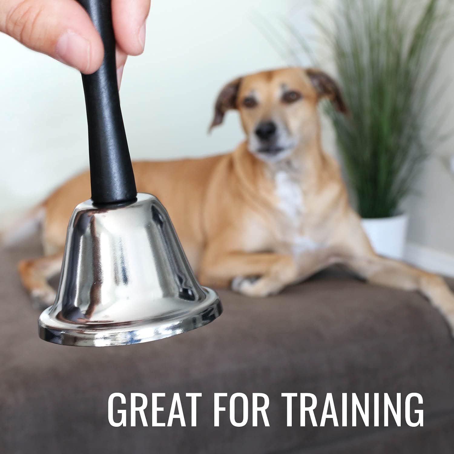 Hand & Call Bell to Care for the Sick and Elderly/ Signal Dinner/ Call for Pets, Silver, 4.75"