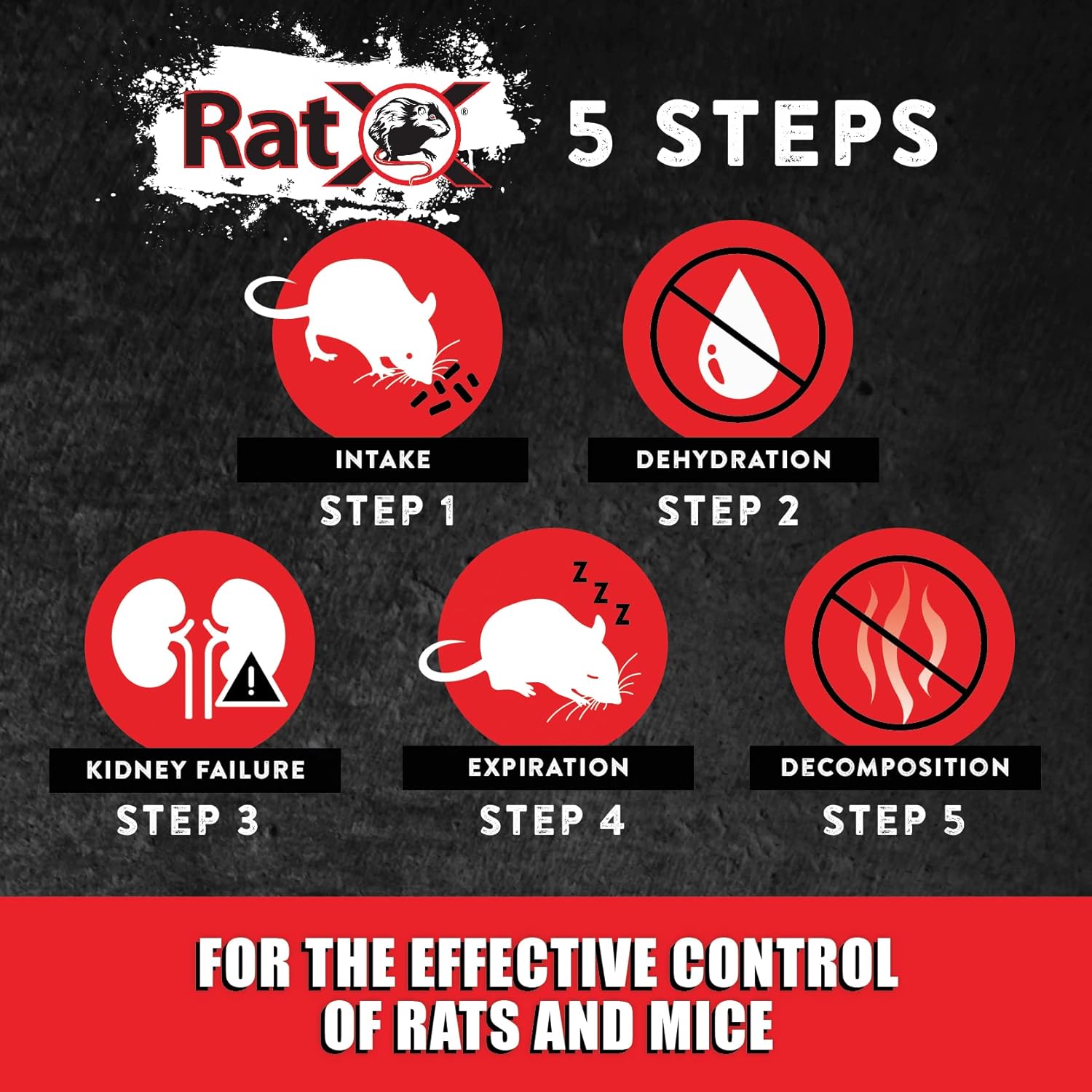 Ecoclear Products 620100-6D Ratx All-Natural for All Speices Rat and Mouse, 8 Oz. Bag