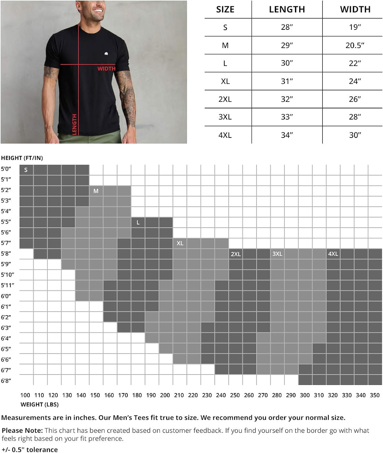 Mens T Shirt - Short Sleeve Crew Neck Soft Fitted Tees S - 4XL Fresh Classic Tshirt
