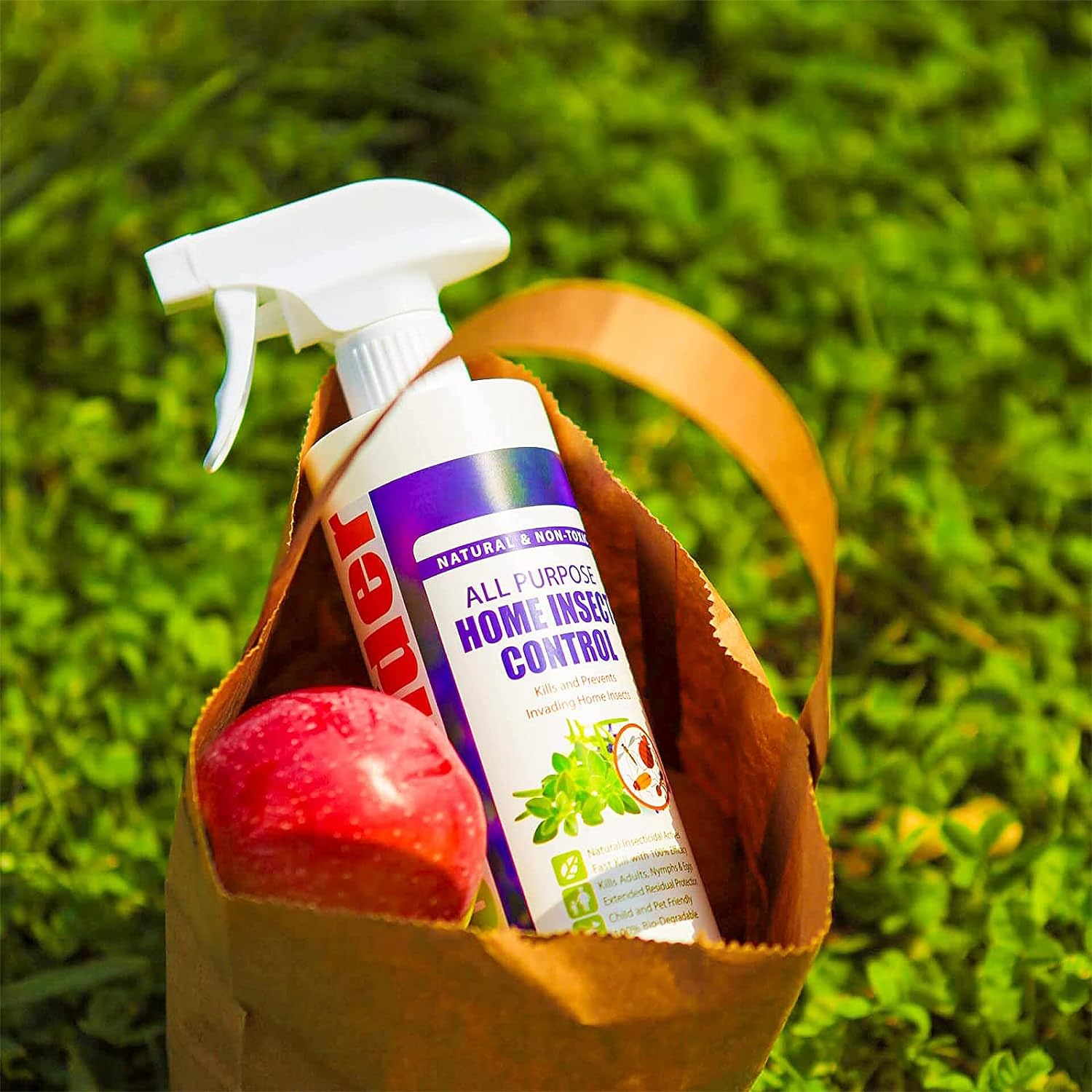 by Ecoraider All Purpose Insect Control 16 OZ, Fleas, Fruit Flies, Gnats, Moths, Roaches, Spiders, Fast Kill, Lasting Prevention, Kill Eggs, Plant Extract Based & Non-Toxic, Child & Pet Safe