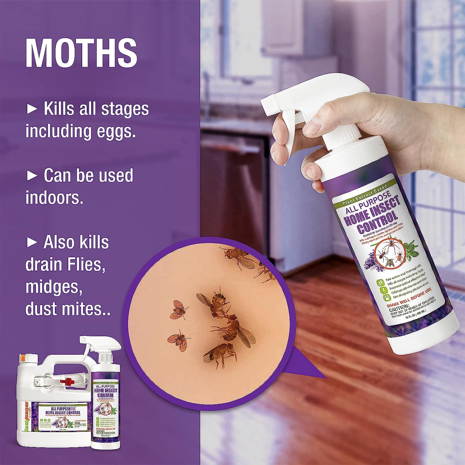 by Ecoraider All Purpose Insect Control 16 OZ, Fleas, Fruit Flies, Gnats, Moths, Roaches, Spiders, Fast Kill, Lasting Prevention, Kill Eggs, Plant Extract Based & Non-Toxic, Child & Pet Safe