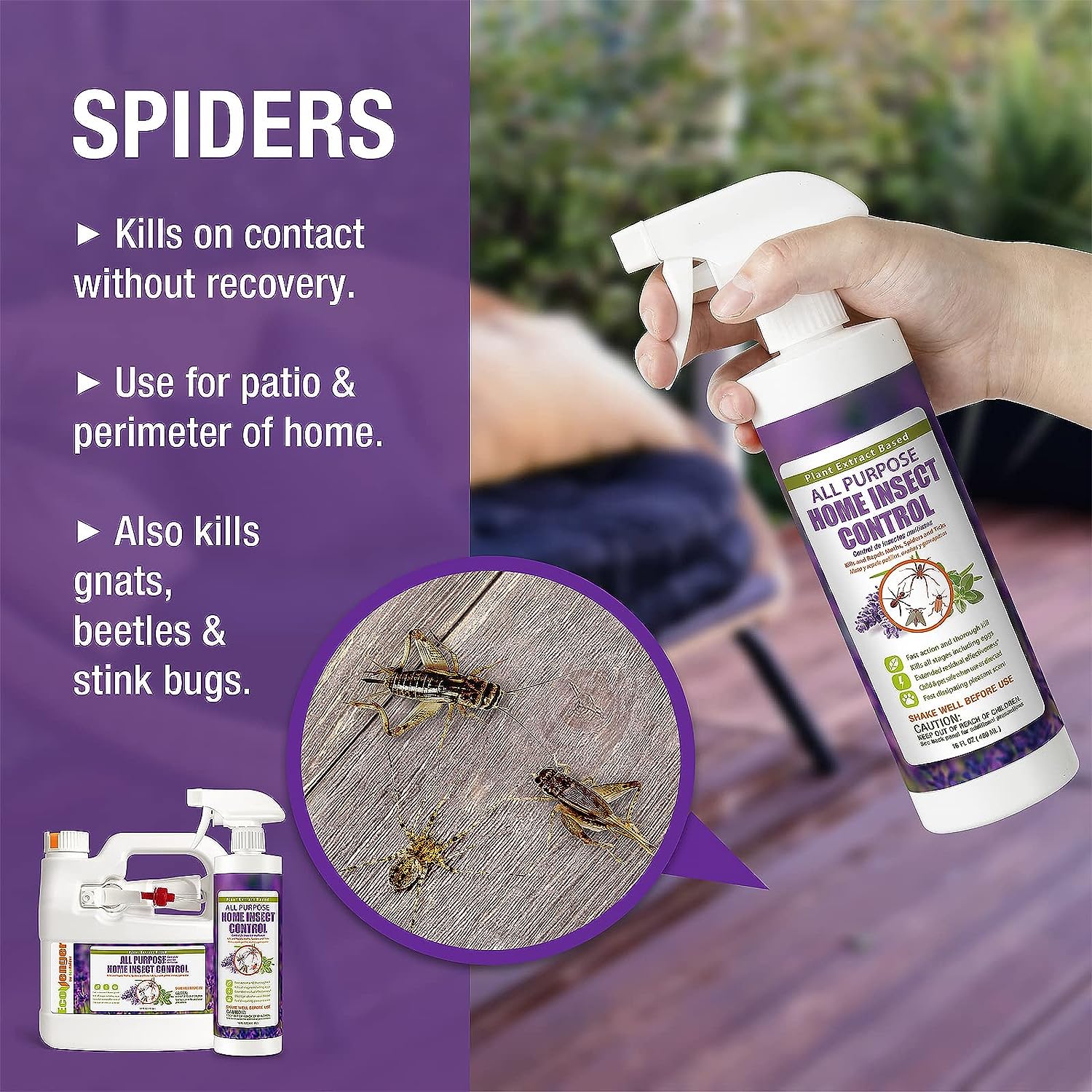 by Ecoraider All Purpose Insect Control 16 OZ, Fleas, Fruit Flies, Gnats, Moths, Roaches, Spiders, Fast Kill, Lasting Prevention, Kill Eggs, Plant Extract Based & Non-Toxic, Child & Pet Safe