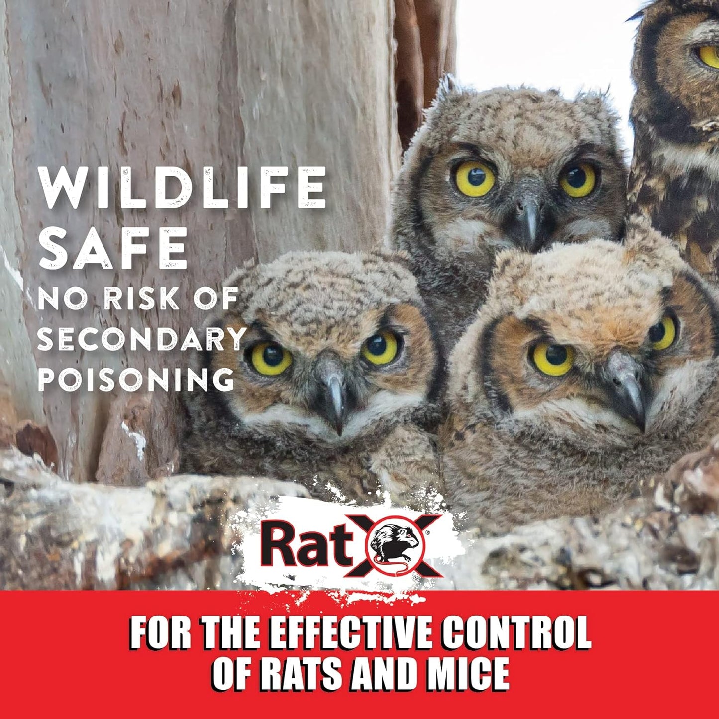 Ecoclear Products 620100-6D Ratx All-Natural for All Speices Rat and Mouse, 8 Oz. Bag