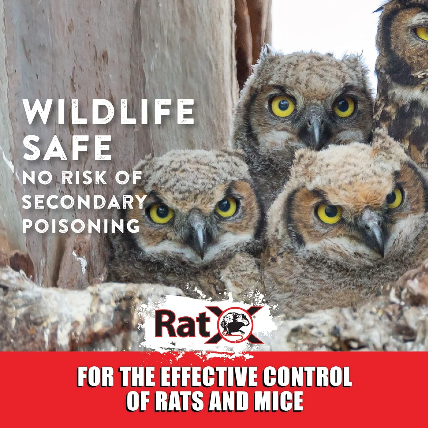 Ecoclear Products 620100-6D Ratx All-Natural for All Speices Rat and Mouse, 8 Oz. Bag
